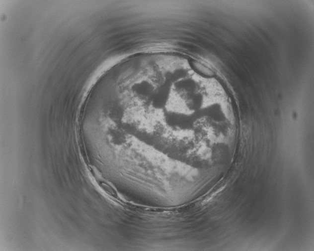 X0000053051429200508011836