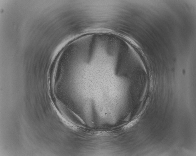 X0000053051430200508011836