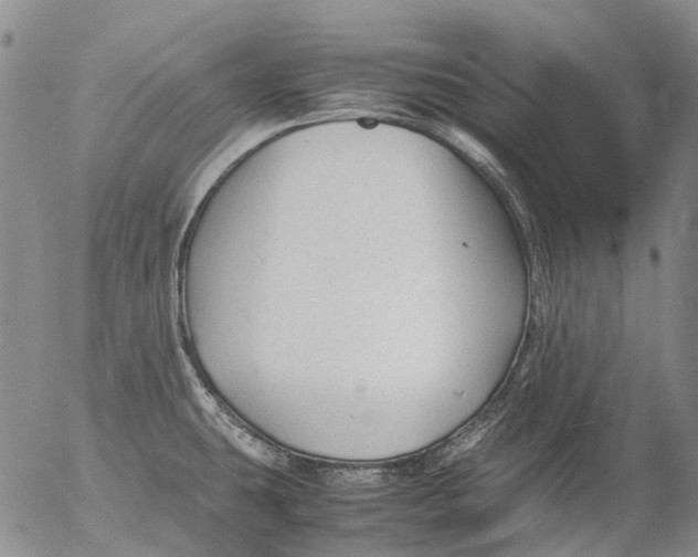 X0000053051431200508011836