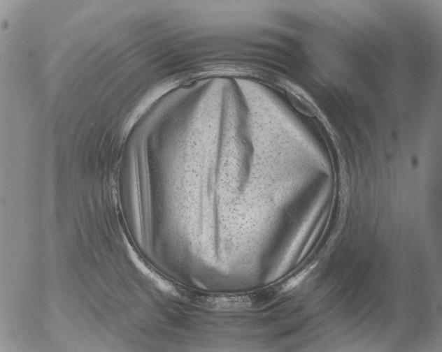 X0000053051433200508011836