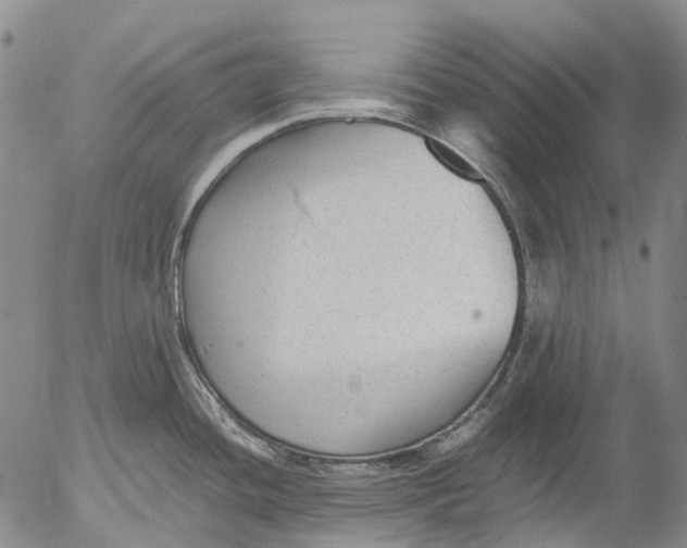 X0000053051436200508011836