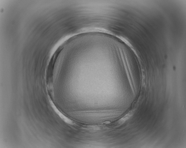 X0000053051438200508011836