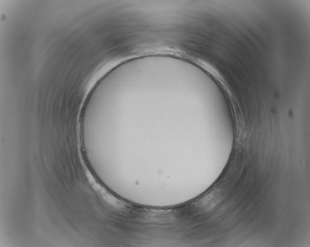 X0000053051439200508011836