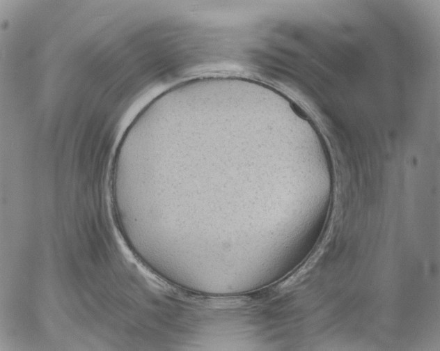 X0000053051440200508011836