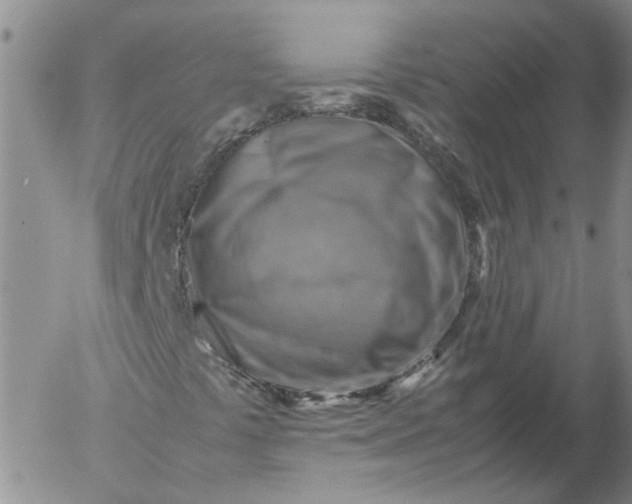 X0000053051441200508011835