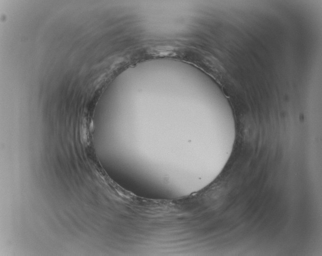 X0000053051442200508011835