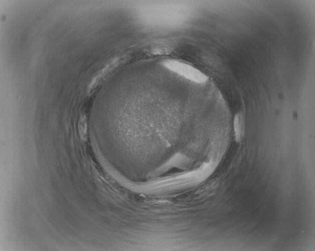 X0000053051443200508011835