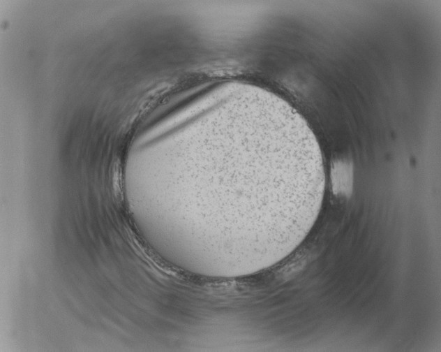 X0000053051444200508011835