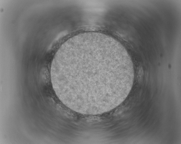 X0000053051446200508011835