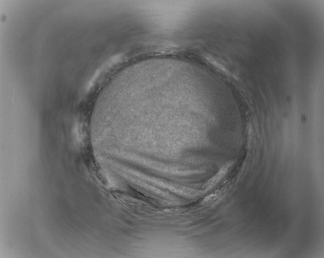 X0000053051447200508011835