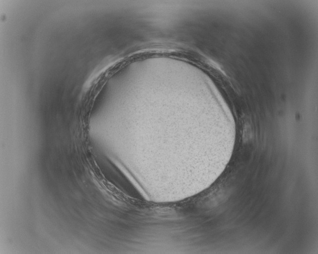 X0000053051448200508011835