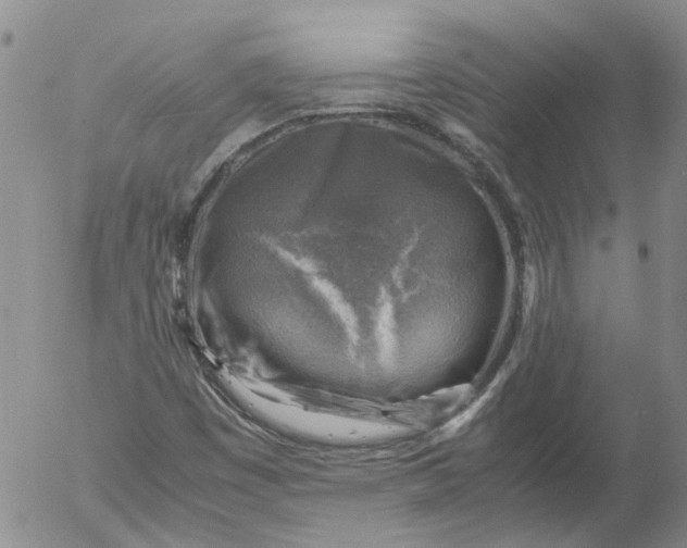 X0000053051449200508011835