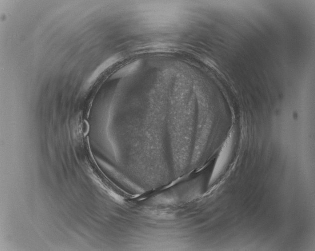 X0000053051450200508011835