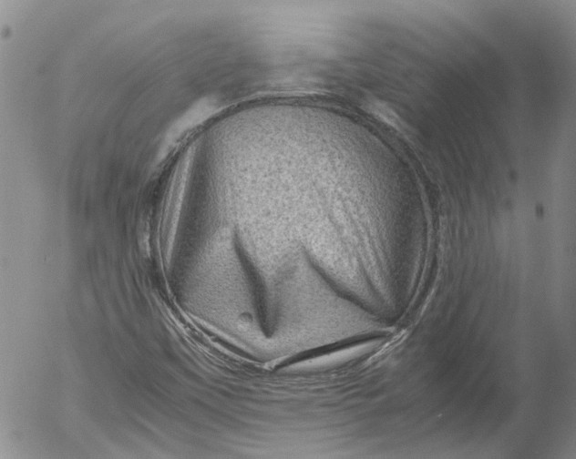 X0000053051451200508011835