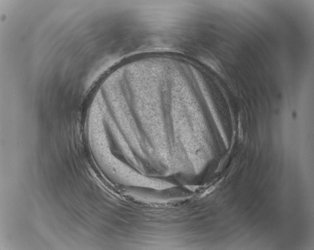 X0000053051452200508011835