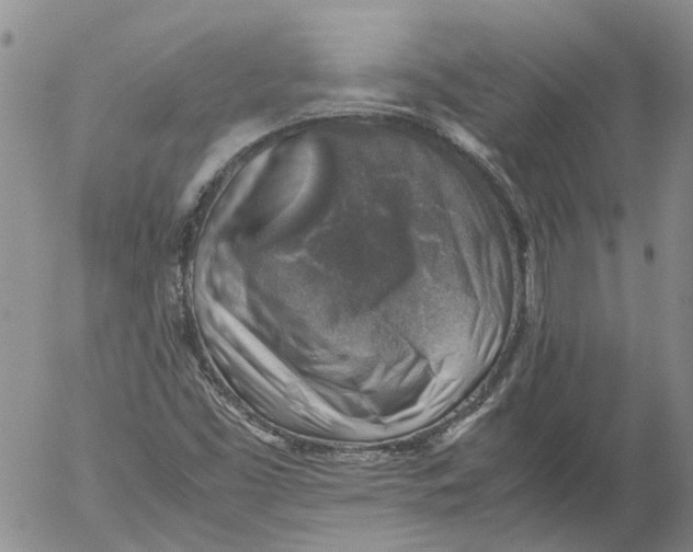 X0000053051453200508011835