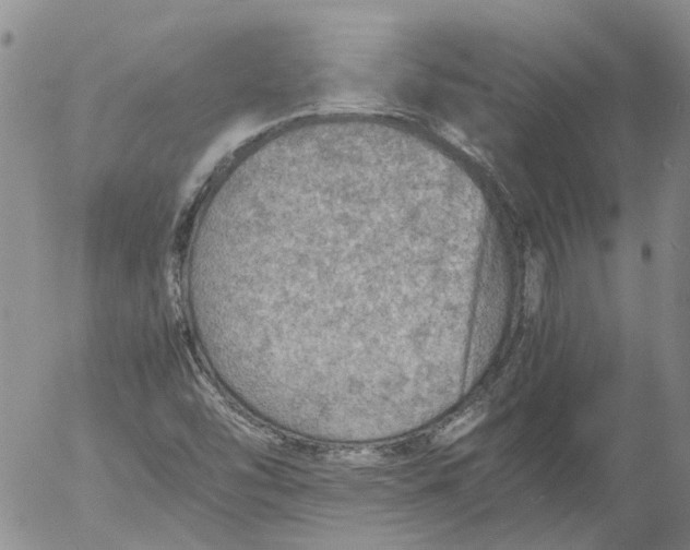 X0000053051454200508011835