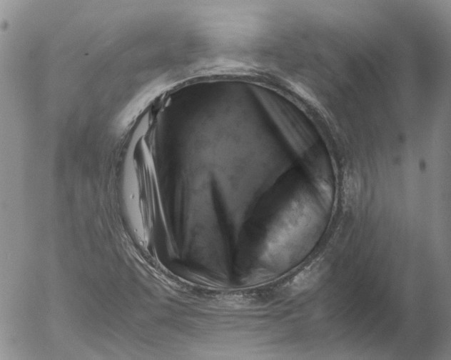 X0000053051455200508011835