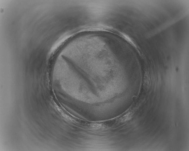 X0000053051456200508011835