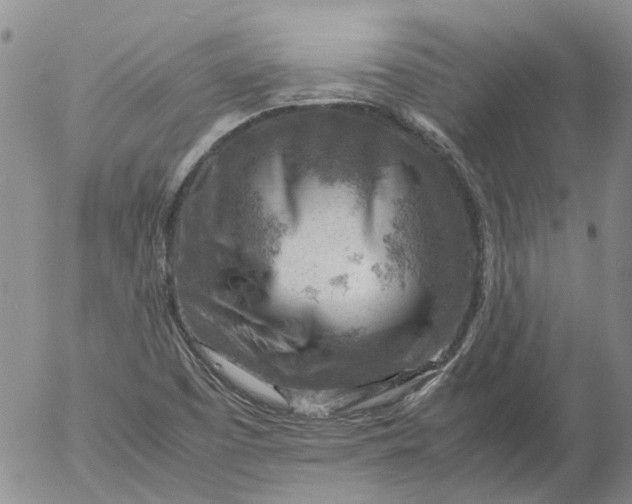 X0000053051457200508011835