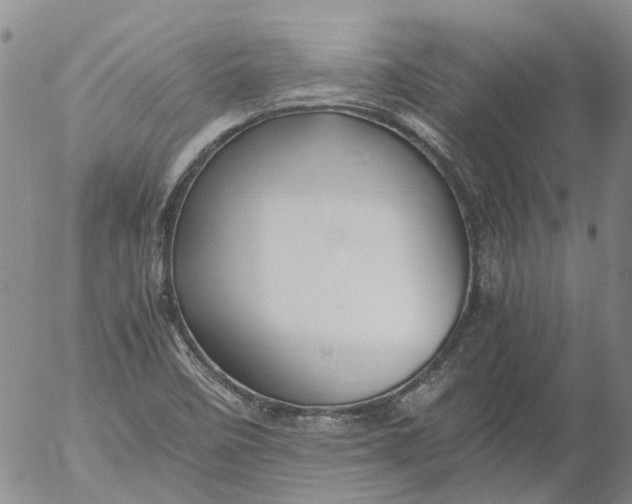 X0000053051458200508011835