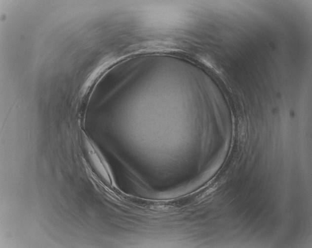 X0000053051459200508011835