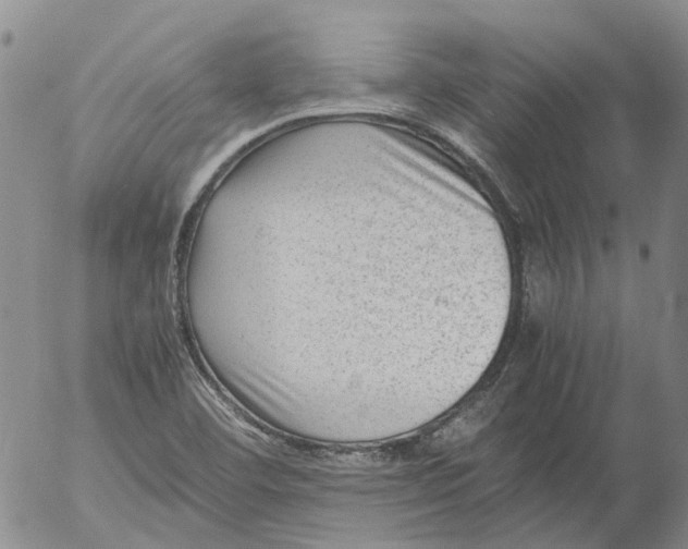 X0000053051460200508011835