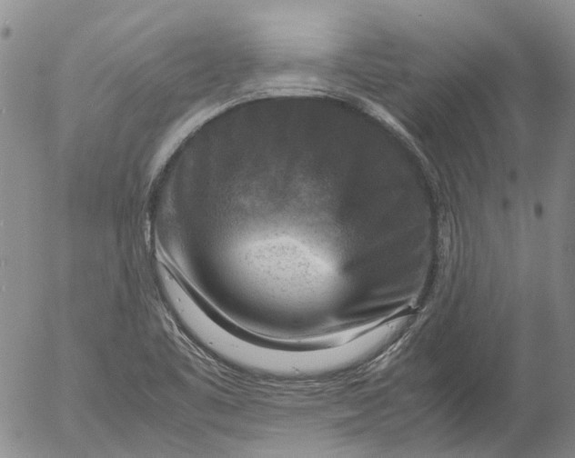 X0000053051461200508011835