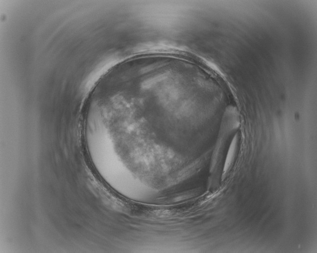 X0000053051463200508011835