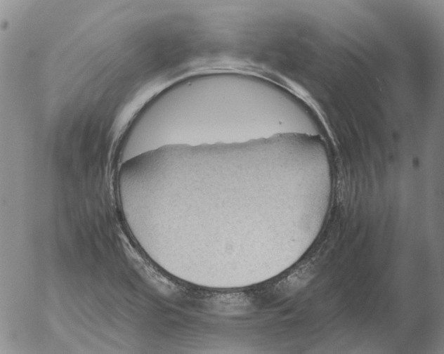 X0000053051464200508011835