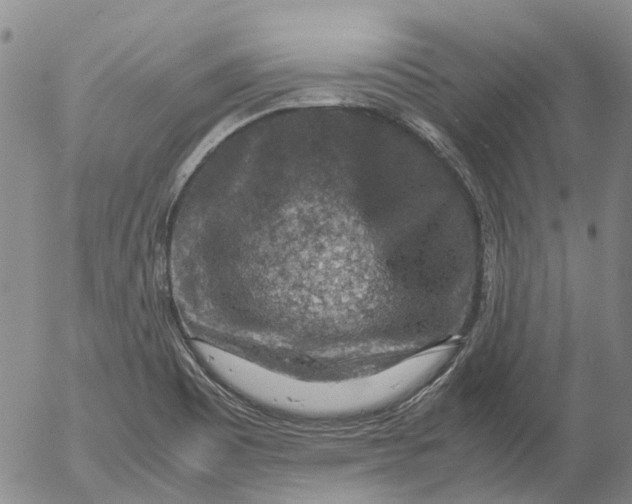 X0000053051465200508011835