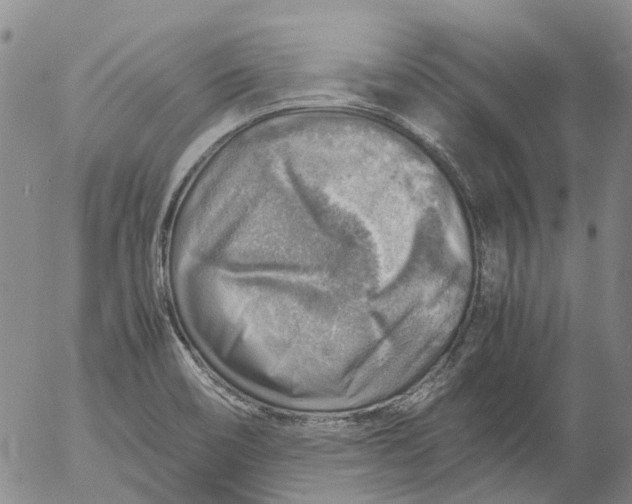 X0000053051466200508011835