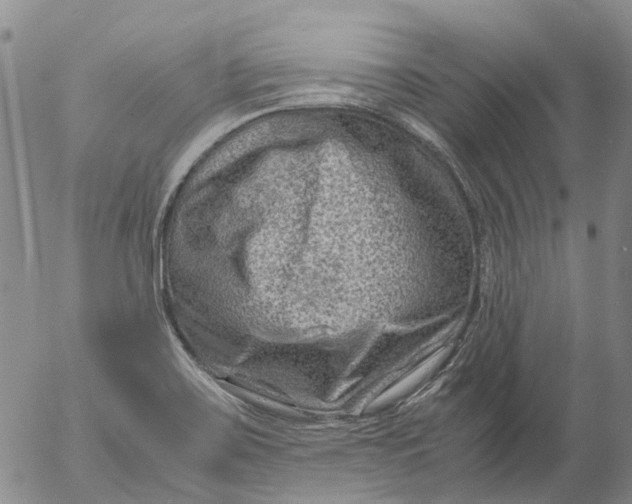 X0000053051467200508011835