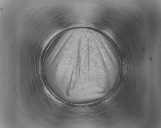 X0000053051468200508011835