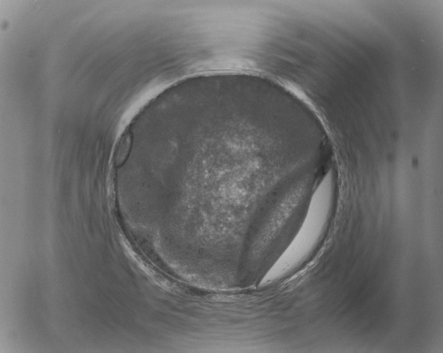 X0000053051469200508011835