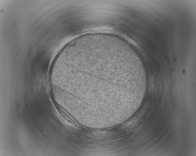 X0000053051470200508011835