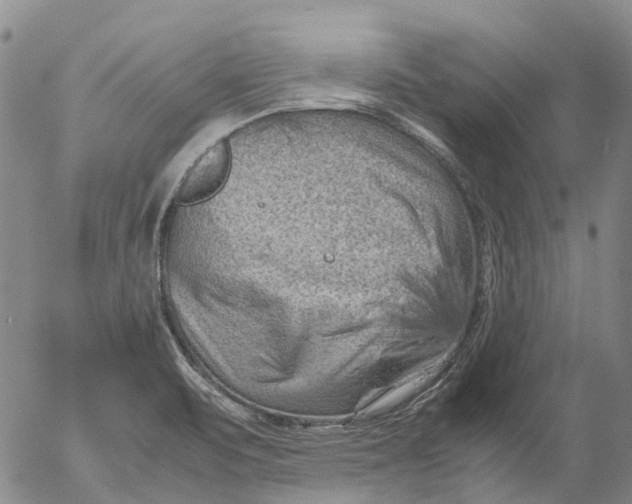 X0000053051471200508011835