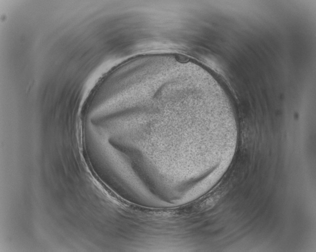 X0000053051472200508011835