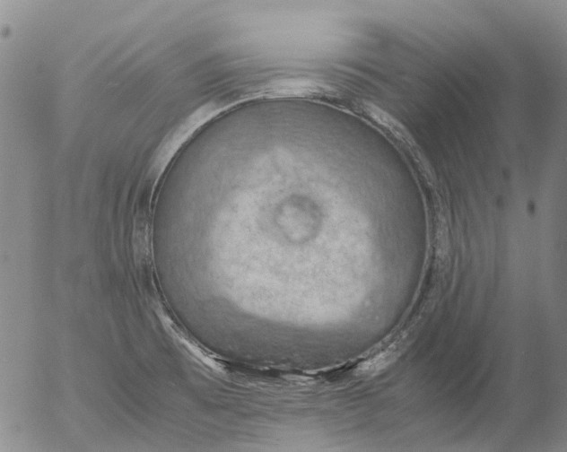 X0000053051473200508011835