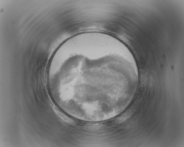 X0000053051474200508011835