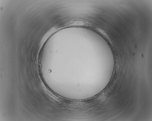 X0000053051475200508011835