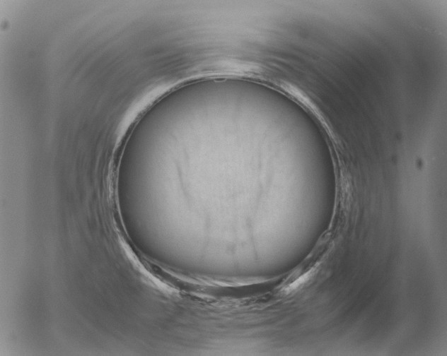 X0000053051477200508011835