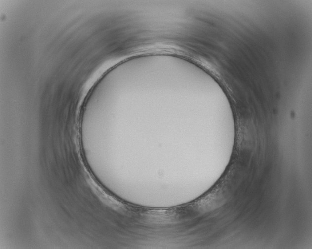 X0000053051478200508011835