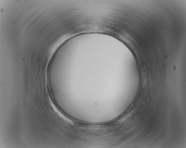 X0000053051479200508011835