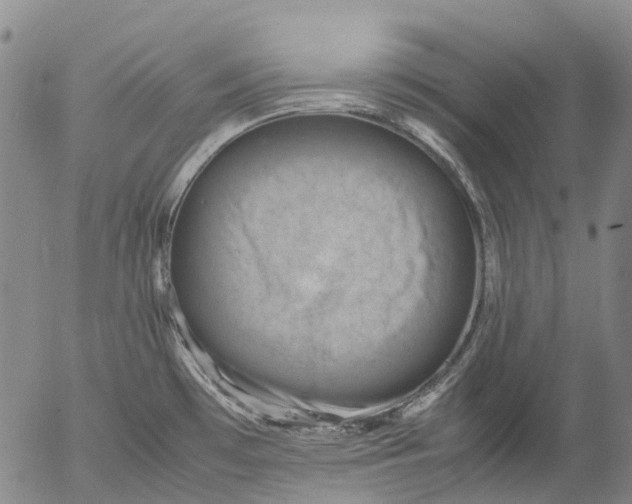 X0000053051481200508011835