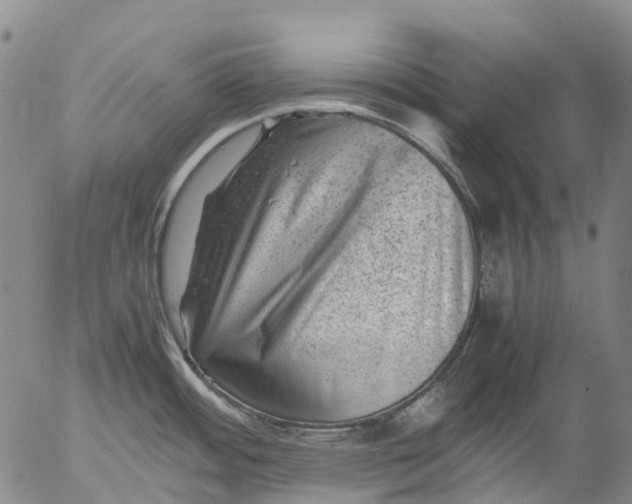 X0000053051484200508011835