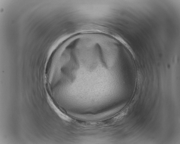 X0000053051485200508011835