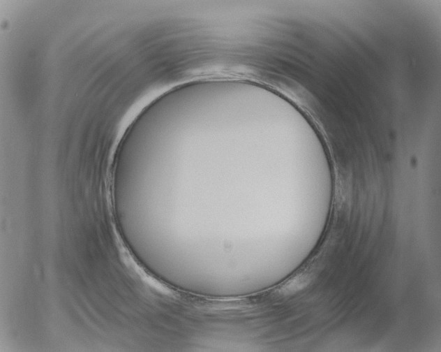 X0000053051486200508011835