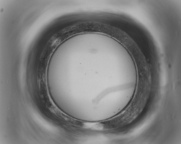 X0000053051487200508011835