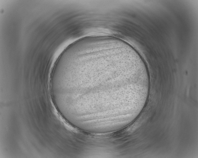 X0000053051488200508011835